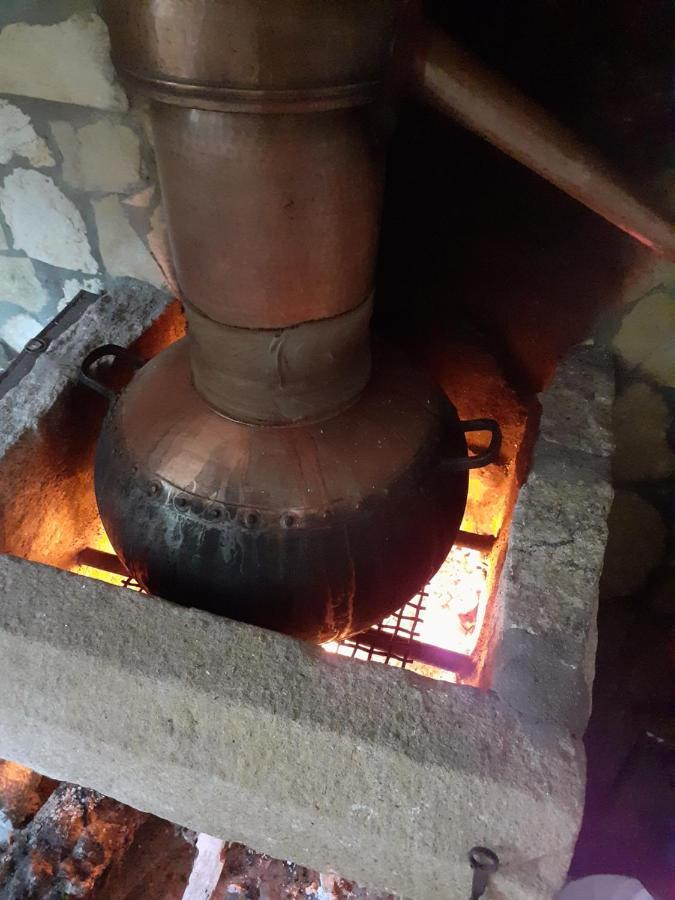 Vila Aromas Dos Salgueiros Castelo de Vide Exteriér fotografie
